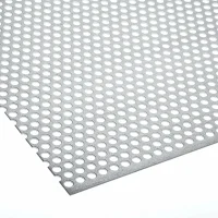 Stainless Steel Perforated Plate